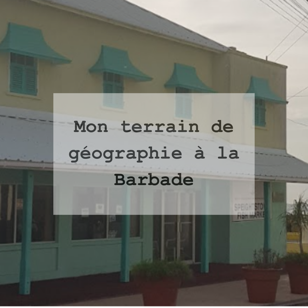 Mon terrain de géographie